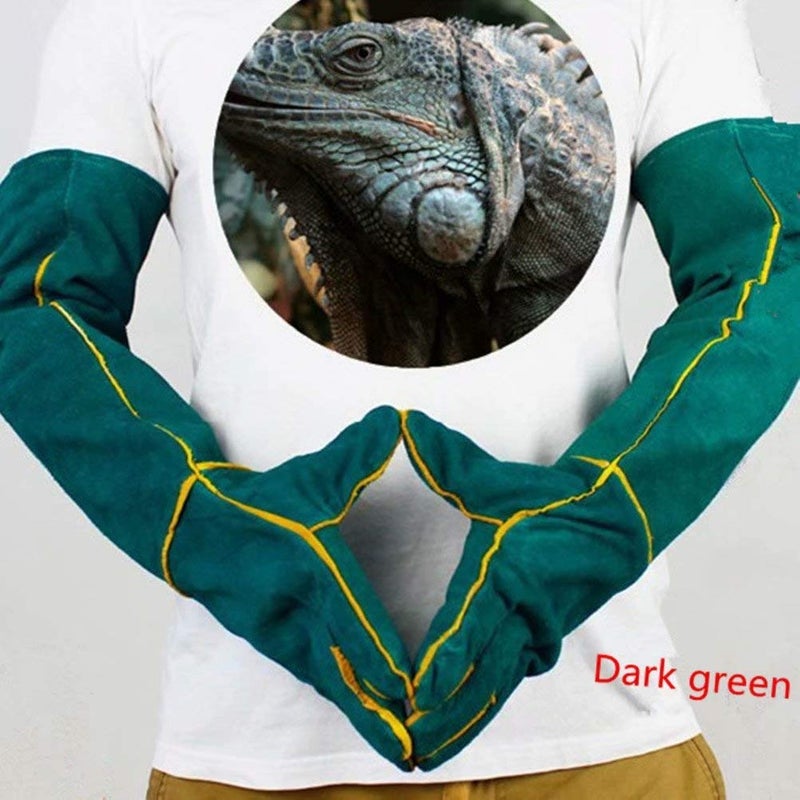 YBB Animal Handling Anti-bite/Scratch Gloves for Dog Cat Bird Parrot Pet (Green) - Image 2